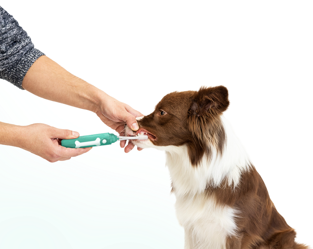 Header-image-journey